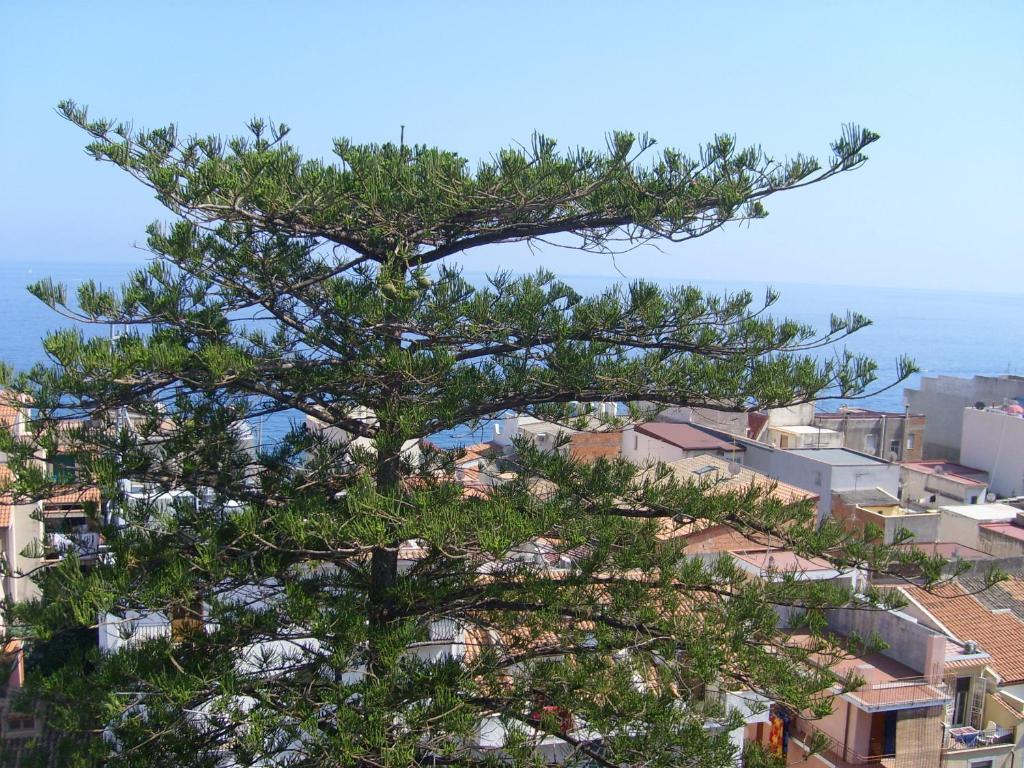 Hotel delle Palme Letojanni Esterno foto